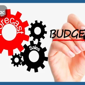 Sales forecasting & Budgeting