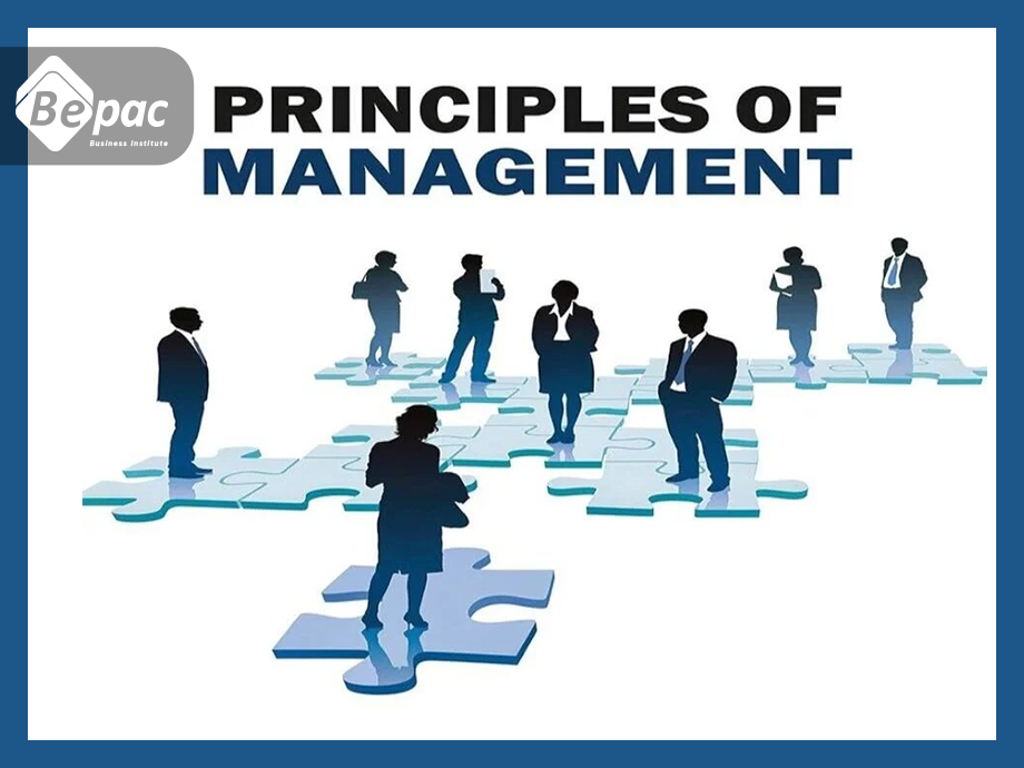 Management Principles